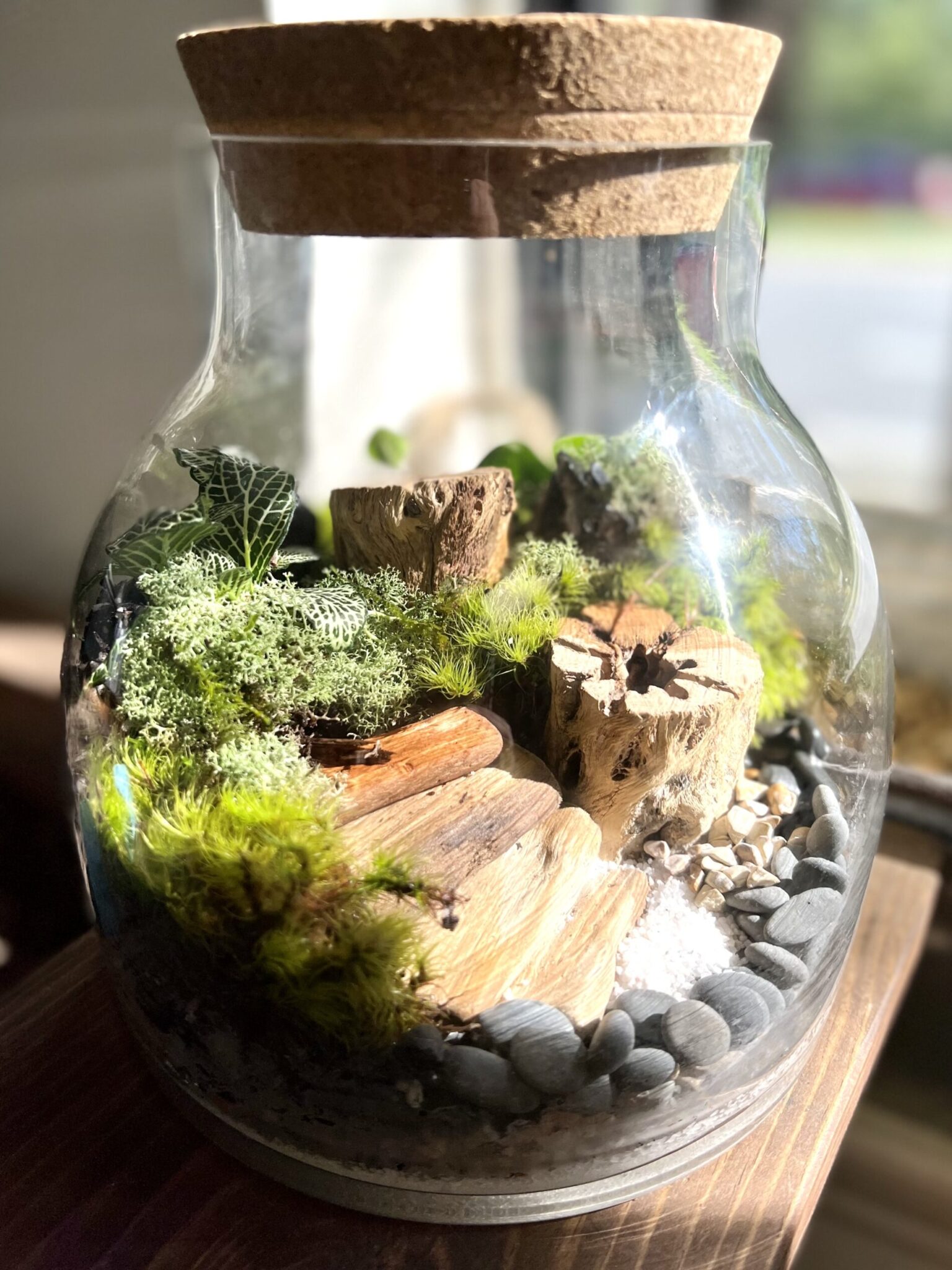 Activities – Roots Plant Studio